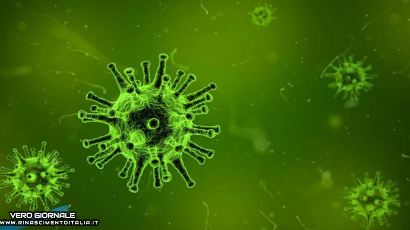 Gates, Fauci e l’origine del virus: cosa sta accadendo? – Il tg VERO GIORNALE Gates, Fauci e l’origine del virus: cosa sta accadendo? – Il tg VERO GIORNALE