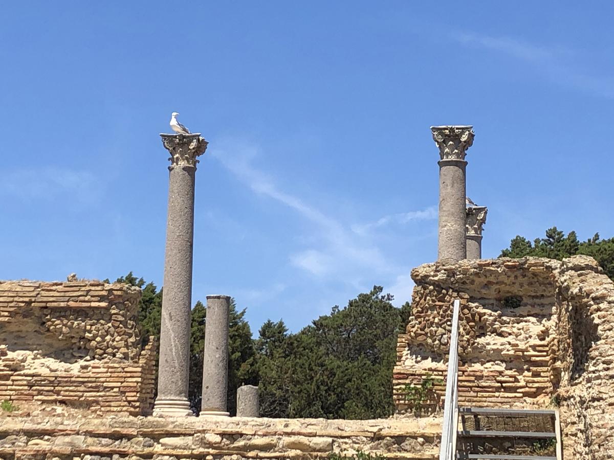Toscana, cosa vedere tra l’Argentario e il Parco nazionale dell’Arcipelago Toscana, cosa vedere tra l’Argentario e il Parco nazionale dell’Arcipelago
