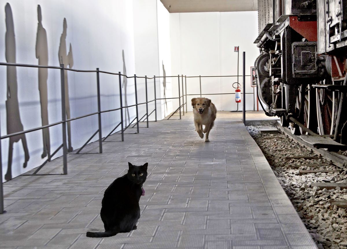 ArtùPerTu con Enrica al museo, il libro per aiutare gli animali insieme a Enpa ArtùPerTu con Enrica al museo, il libro per aiutare gli animali insieme a Enpa