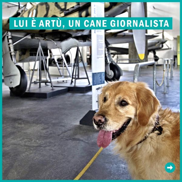 ArtùPerTu con Enrica al museo, il libro per aiutare gli animali insieme a Enpa