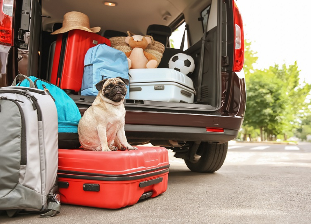 Vacanze 2026, italiani pronti a partire ma il caro vita pesa. E la gente si indebita Vacanze 2026, italiani pronti a partire ma il caro vita pesa. E la gente si indebita