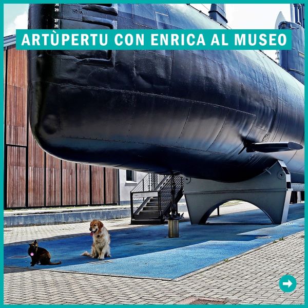 ArtùPerTu con Enrica al museo, il libro per aiutare gli animali insieme a Enpa