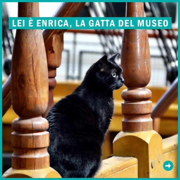 ArtùPerTu con Enrica al museo, il libro per aiutare gli animali insieme a Enpa