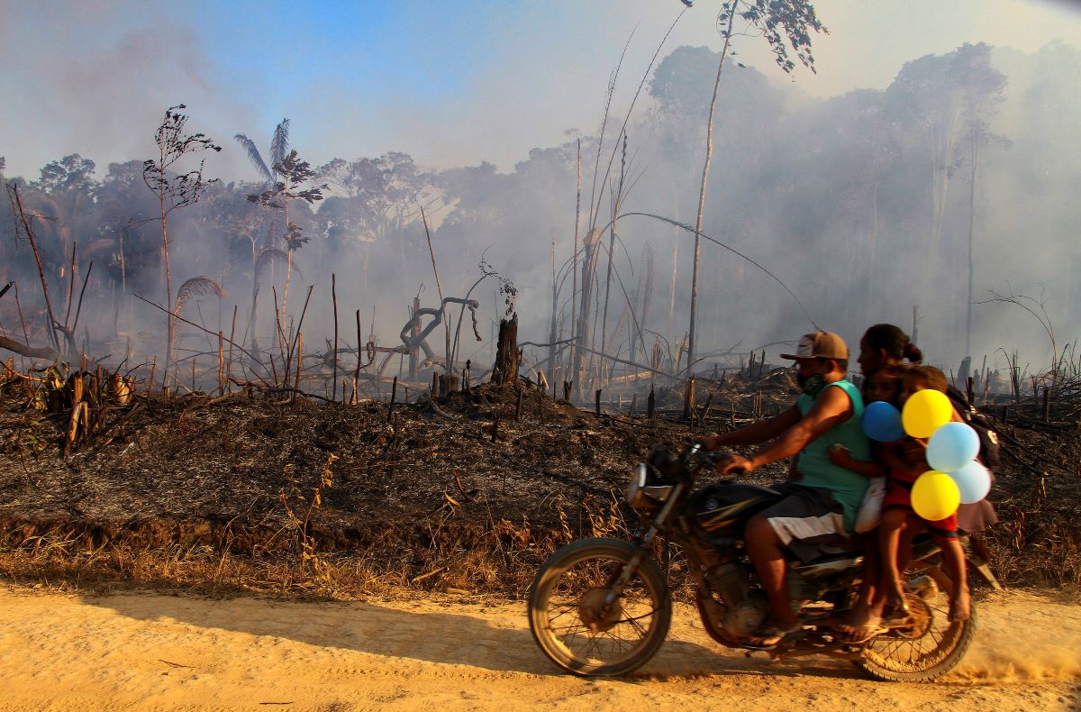 Amazzonia polmone del mondo ha smesso di respirare: non assorbe più Co2