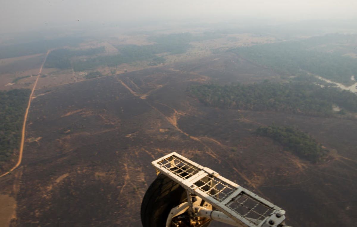Amazzonia polmone del mondo ha smesso di respirare: non assorbe più Co2