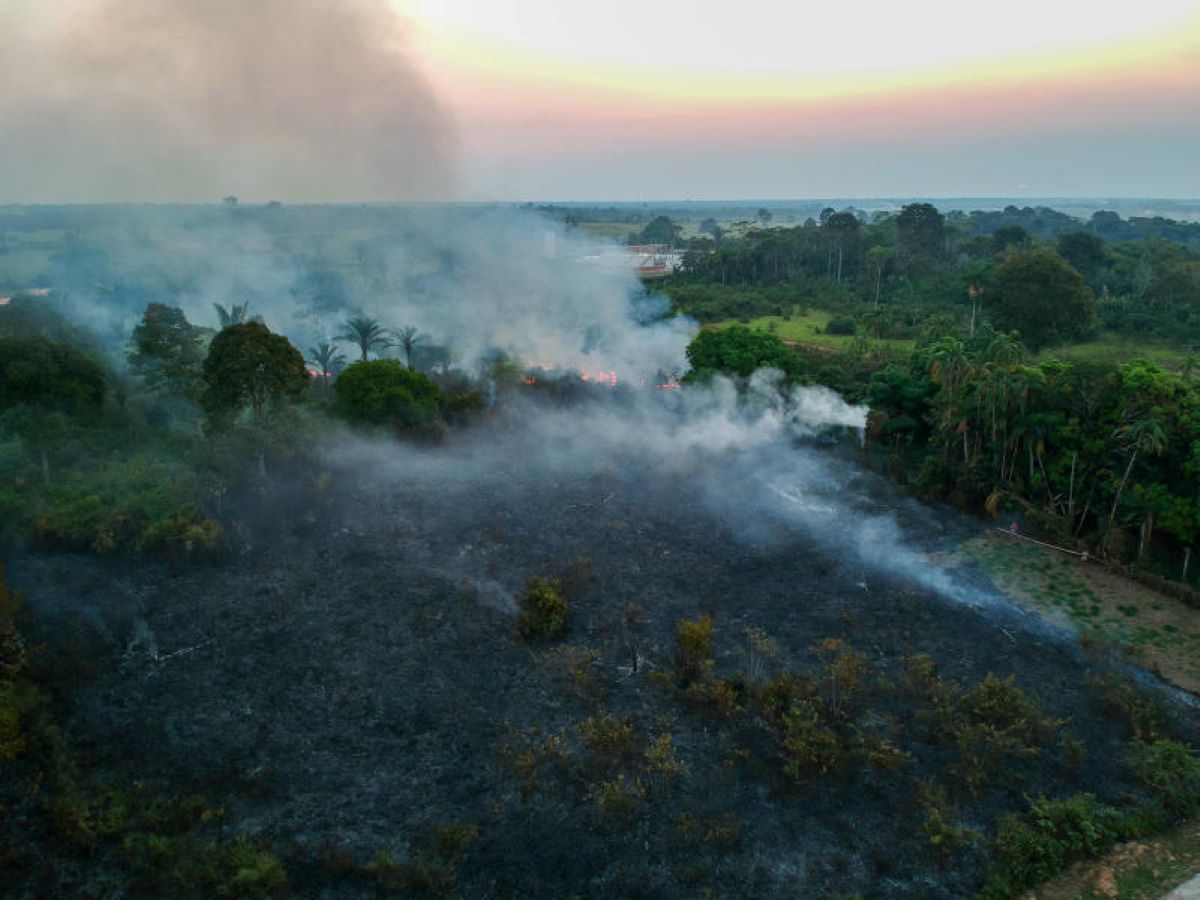 Amazzonia polmone del mondo ha smesso di respirare: non assorbe più Co2