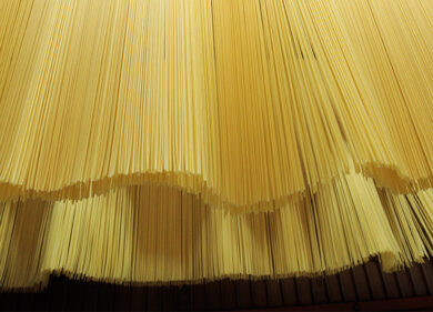 Pasta Garofalo, il pastificio presenta il suo primo Report di Sostenibilità