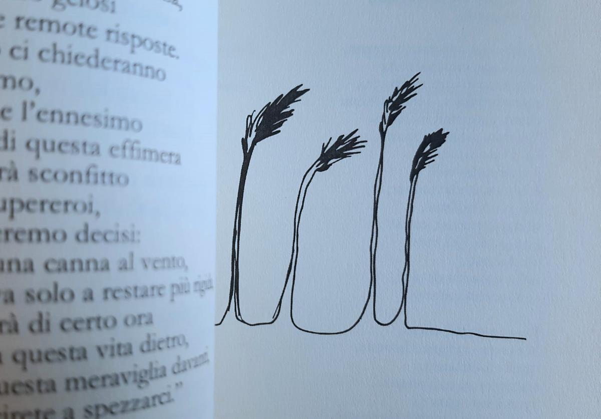 Pietro Cifarelli 3 Pietro Cifarelli 3