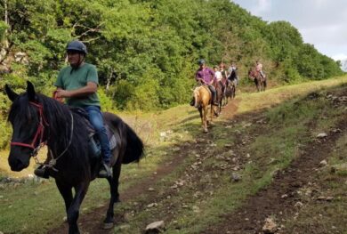 Manfredonia mare, spiagge e… i trend dell’estate 2021 con Experience