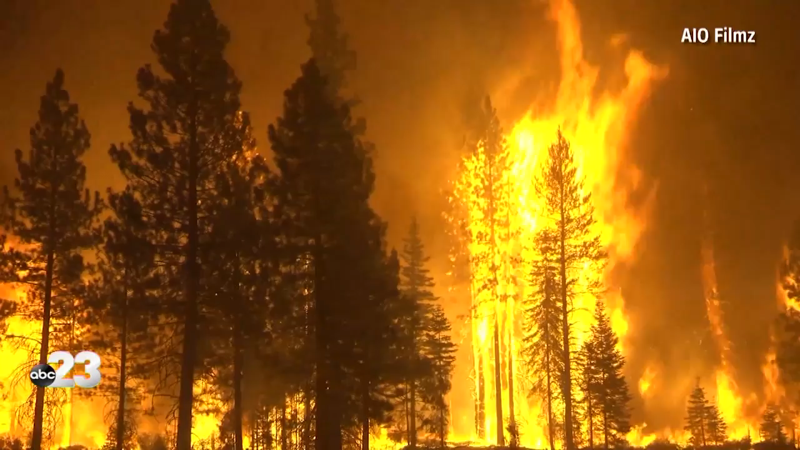 Allarme rosso per il clima, ecco la nuova emergenza – Il tg VERO GIORNALE Allarme rosso per il clima, ecco la nuova emergenza – Il tg VERO GIORNALE