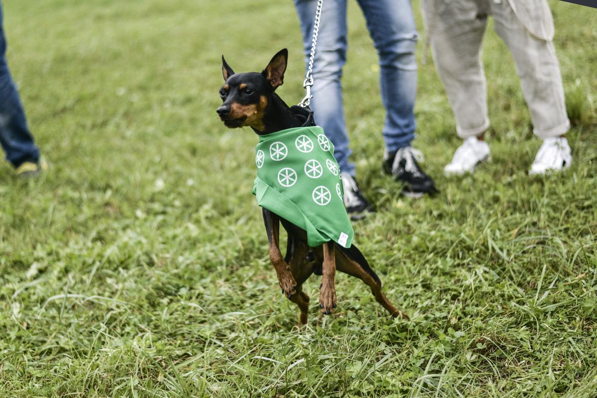 Pontida, raduno cancellato: la Lega teme la base anti-Draghi Pontida, raduno cancellato: la Lega teme la base anti-Draghi