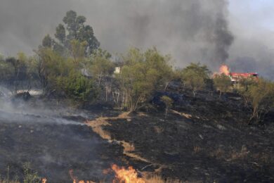 Incendi dalla Sicilia alla Calabria: Sud brucia. Uomo ucciso dal fuoco in casa