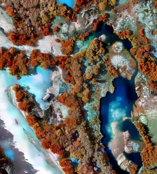 Richard Mosse: fotografo di migrazioni, conflitti e cambiamento climatico