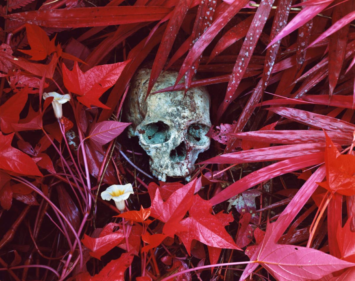 Richard Mosse: fotografo di migrazioni, conflitti e cambiamento climatico Richard Mosse: fotografo di migrazioni, conflitti e cambiamento climatico