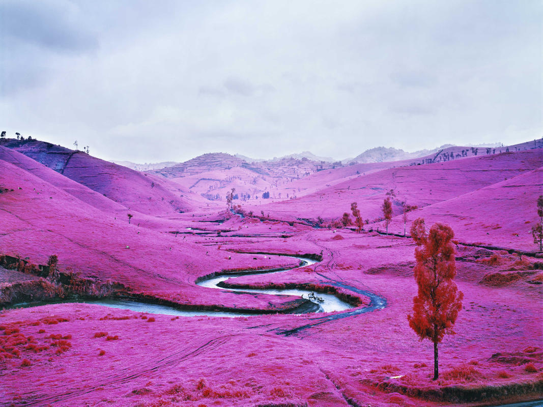 Richard Mosse: fotografo di migrazioni, conflitti e cambiamento climatico