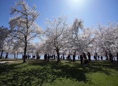 12692599 large 12692599 large