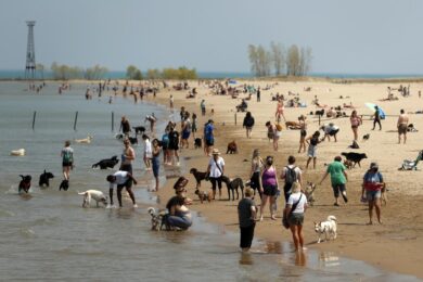 Covid, Oms: in una settimana 4,4 milioni di contagi nel mondo e 66 mila morti