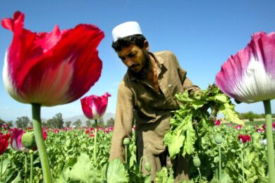 Afghanistan, il ricatto dei talebani. Più tempo agli Usa in cambio di 9 mld