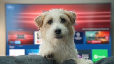 Sky, ecco la nuova campagna di Sky Q e Sky Wifi