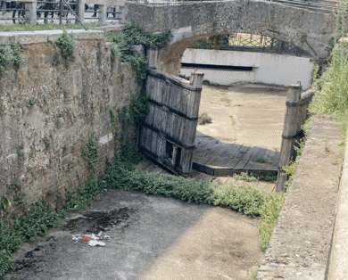 Brera, Sardone: Sala abbandona anche i capolavori di Leonardo