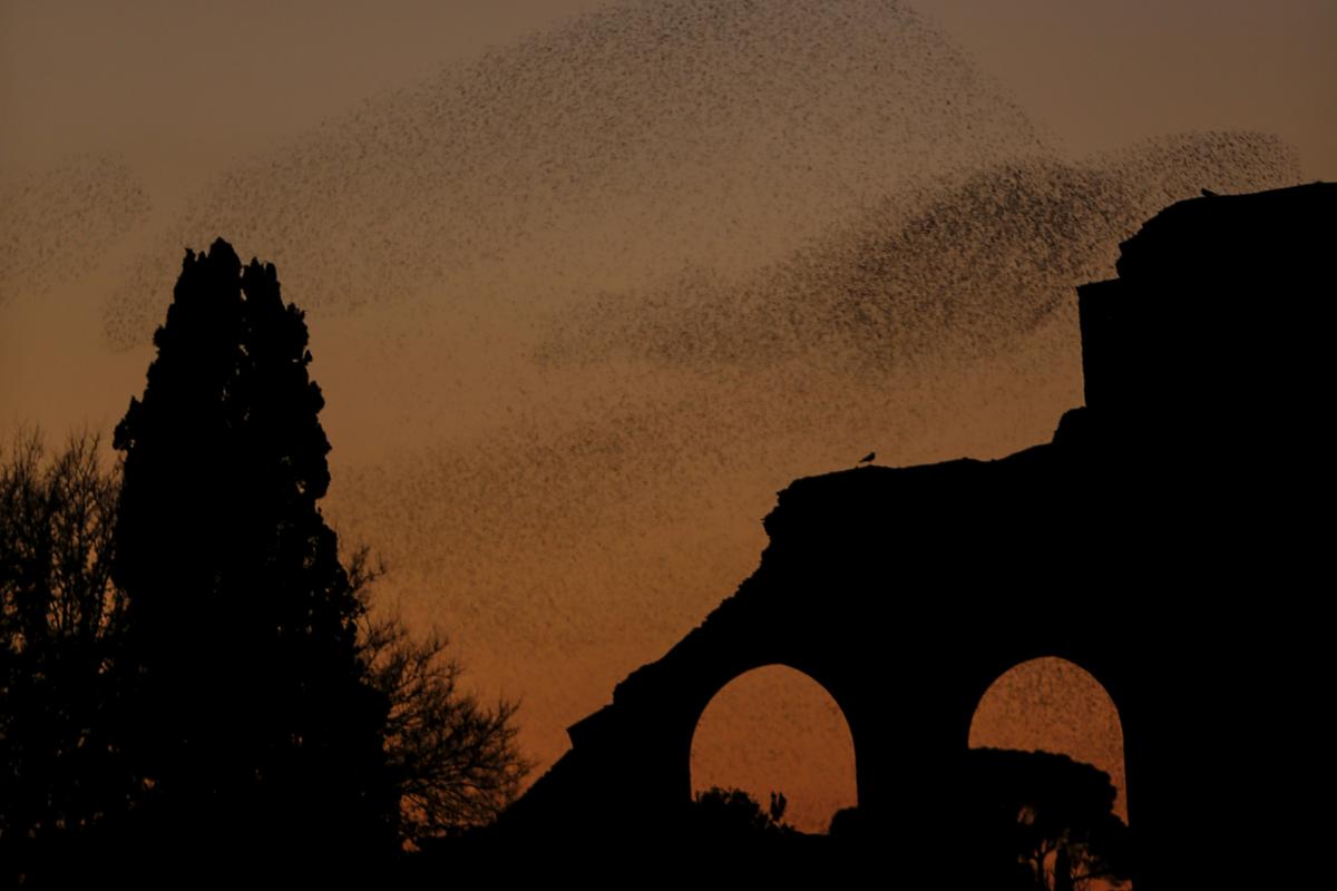 Fori Imperiali, visita notturna 2021: le date. FOTO e VIDEO Fori Imperiali, visita notturna 2021: le date. FOTO e VIDEO