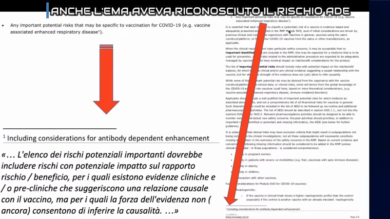 Vaccinati e rischio Ade, se ne accorse anche l’Ema – Il tg VERO GIORNALE