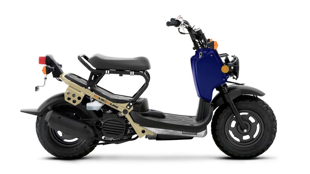 Zoomer, il motorino status symbol verrà di nuovo importato dal Giappone Zoomer, il motorino status symbol verrà di nuovo importato dal Giappone