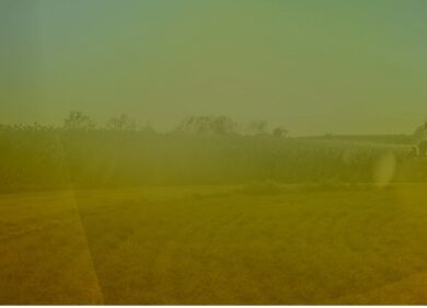 Agricoltura e Innovazione: parole chiave di un futuro che è già ‘presente’