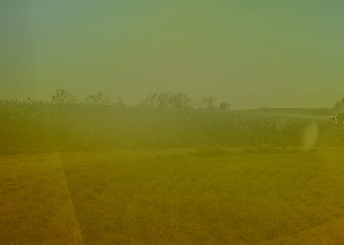 Agricoltura e Innovazione: parole chiave di un futuro che è già ‘presente’ Agricoltura e Innovazione: parole chiave di un futuro che è già ‘presente’