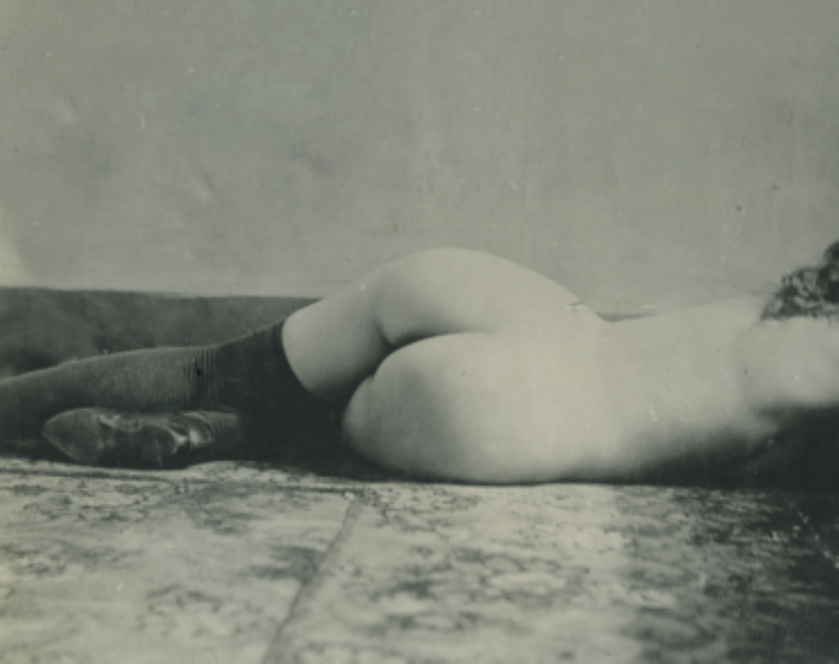 Wanda, l’ultima maitresse: lezione in diretta Fb sul romanzo picaresco