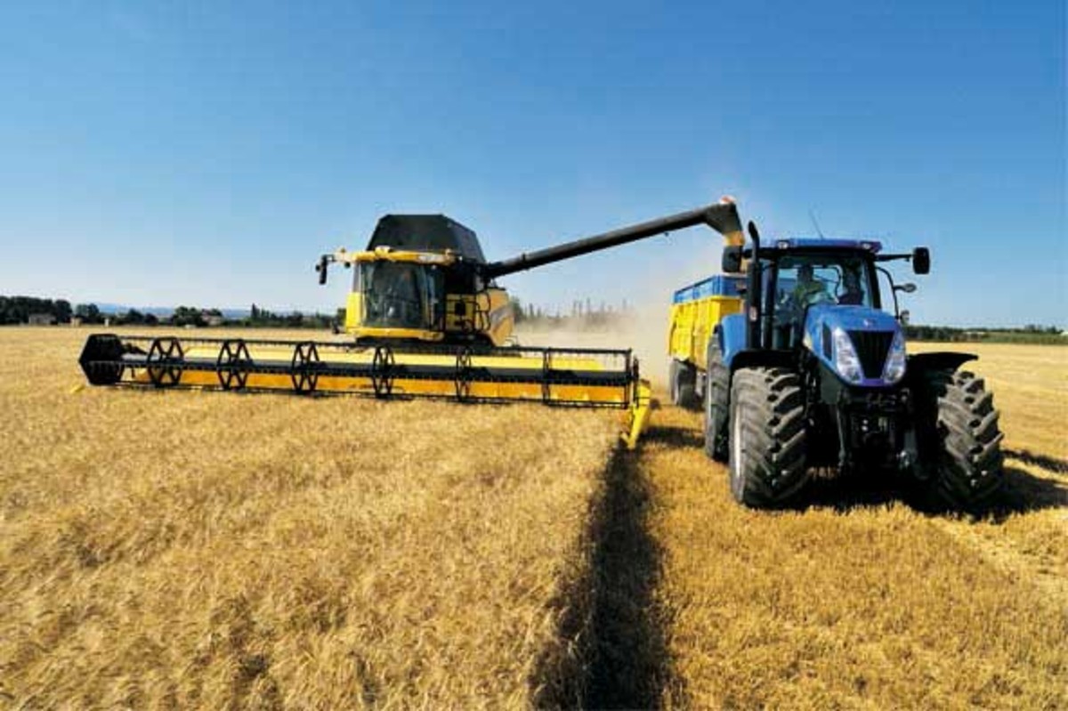 Ue, ok al “Farm to fork” ma così a rischio il 5-15% della produzione agricola Ue, ok al “Farm to fork” ma così a rischio il 5-15% della produzione agricola