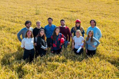 La start-up Ricehouse vince il premio WPP Innovators 2021