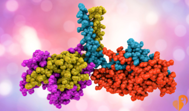 La lattoferrina funziona, nuovo studio lo conferma – Il tg VERO GIORNALE