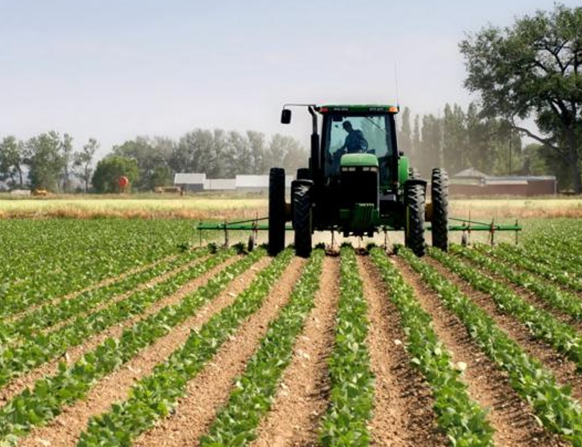 Cnh scommette sulla tecnologia green: accordo esclusivo con Monarch Tractor Cnh scommette sulla tecnologia green: accordo esclusivo con Monarch Tractor
