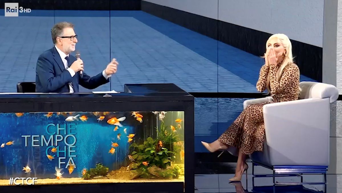 Lady Gaga, flirt con Bradley Cooper? Ecco cosa rivela lui. E Germanotta… Lady Gaga, flirt con Bradley Cooper? Ecco cosa rivela lui. E Germanotta…