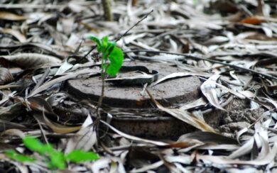 Armi, stop alle mine antipersona. Con l’ok alla Camera si volta pagina