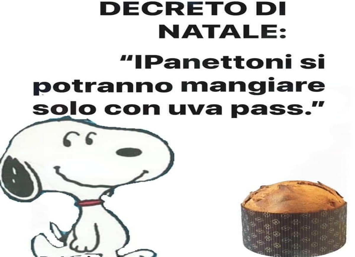 Green Pass, ironia social: “A Natale solo panettoni con uva pass” Green Pass, ironia social: “A Natale solo panettoni con uva pass”