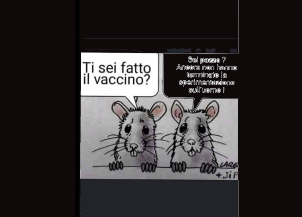 Green Pass, ironia social: “A Natale solo panettoni con uva pass” Green Pass, ironia social: “A Natale solo panettoni con uva pass”