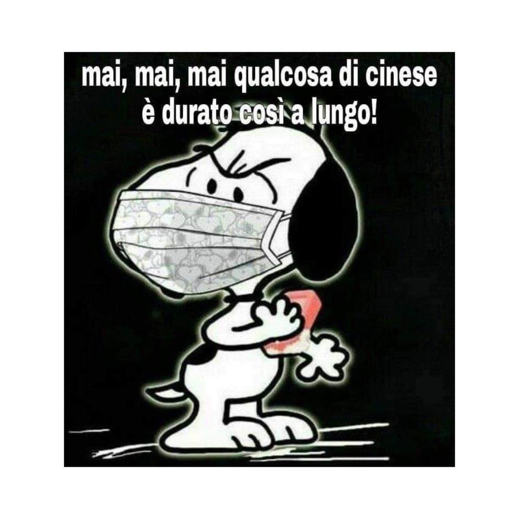 Green Pass, ironia social: “A Natale solo panettoni con uva pass” Green Pass, ironia social: “A Natale solo panettoni con uva pass”