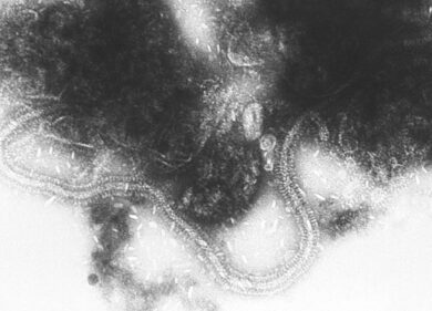 Influenza stagionale: dati stabili ma preoccupa virus sinciziale tra i bambini