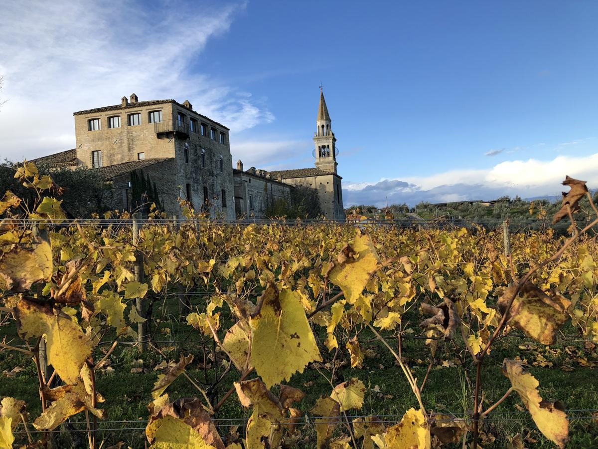 Galleria foto 'Abruzzo, un itinerario tra gastronomia e artigianato in provincia di Chieti' - foto 2