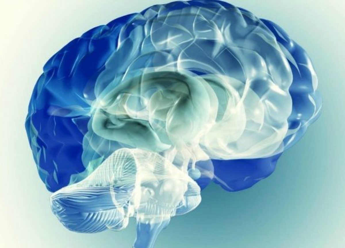 Una nuova speranza per la cura del tumore cerebrale più grave Una nuova speranza per la cura del tumore cerebrale più grave