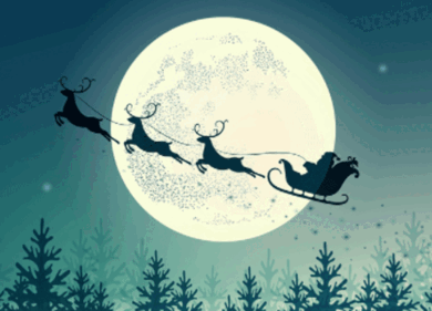 Buon Natale Cibicotti!