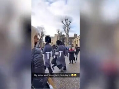 Regno Unito, a Londra una Guardia della Regina travolge un bimbo. VIDEO