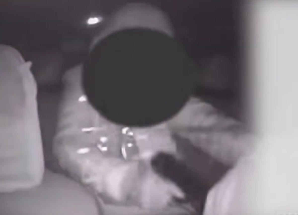 Rapinava i tassisti con la pistola: fermato un 24enne. VIDEO Rapinava i tassisti con la pistola: fermato un 24enne. VIDEO