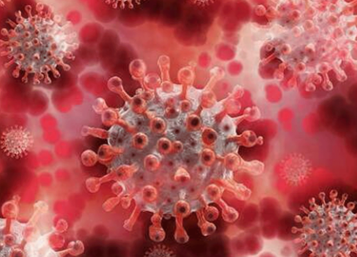 Covid, nuova variante in Francia. “Potrebbe bucare i vaccini, preoccupante” Covid, nuova variante in Francia. “Potrebbe bucare i vaccini, preoccupante”