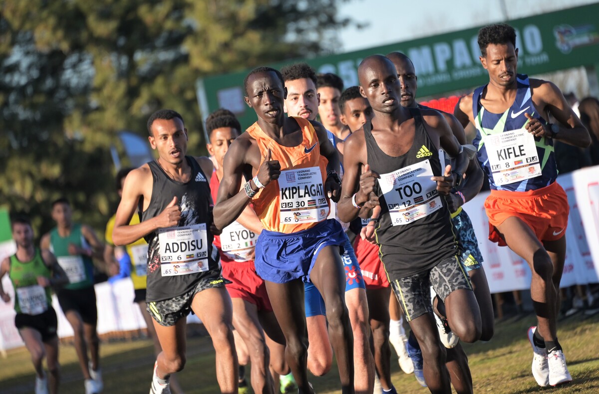 Campaccio 2022 nel segno d’Etiopia vincono Yihune Addisu e Dawit Seyaum Campaccio 2022 nel segno d’Etiopia vincono Yihune Addisu e Dawit Seyaum