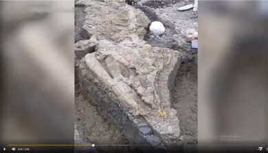 Regno Unito, trovato un “drago marino” di 180 milioni di anni fa. VIDEO