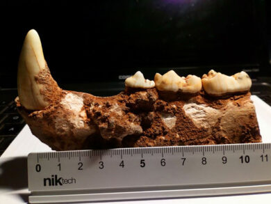 Ceglie Messapica, la città delle grotte: sensazionali scoperte del Pleistocene