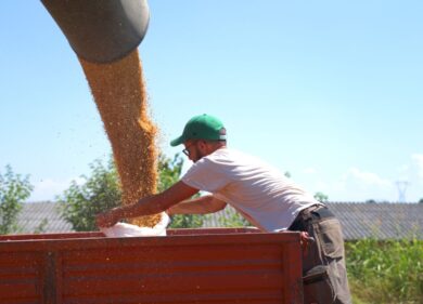 A Milano Frudur-0, la sfida del grano duro sostenibile
